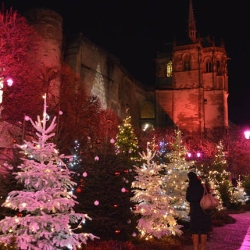 NOEL AU PAYS DES CHATEAUX : Du Mardi 01 au Vendredi 04 Décembre 2026