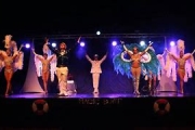 Le Mardi 15 Décembre 2026 : CABARET SPECTACLE "SPÉCIAL NOËL" A LA PORT DU GOLFE A MUZILLAC